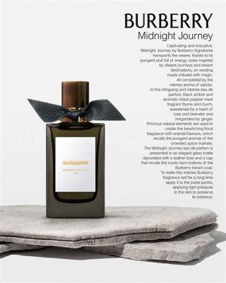 burberry ジャケット、そして時空を超えるファッションの旅