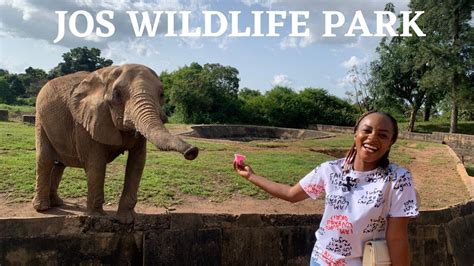 Das Jos Wildlife Park: Ein Paradies für Tierliebhaber und Abenteuerlustige!