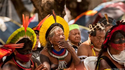 Das Museu do Xaxim: Ein Museum für die Geschichte und Kultur des Amazonas-Regenwaldes!