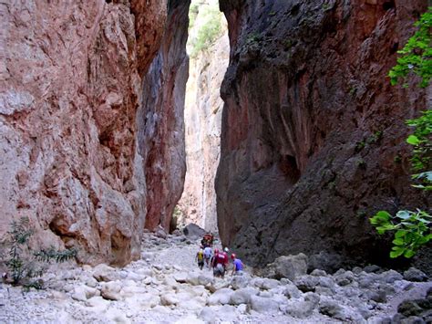 Das Qingyishan-Gebirge - Ein Paradies für Wanderer und Naturliebhaber!