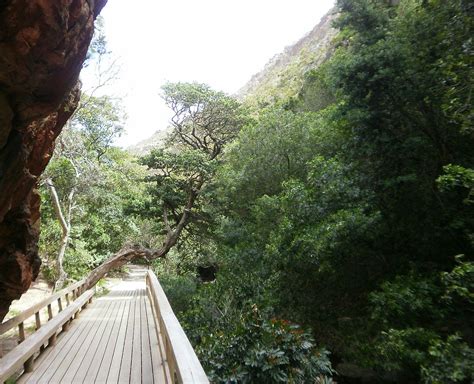  Die Harold Porter Botanical Garden: Ein botanisches Juwel an der Südküste Südafrikas!