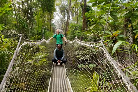  Die Lekki Conservation Centre - Ein Paradies für Vogelbeobachter und Abenteurer!