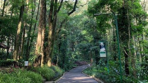 Taman Hutan Raya Kutai! Ein Abenteuer für Naturliebhaber und Vogelbeobachter!